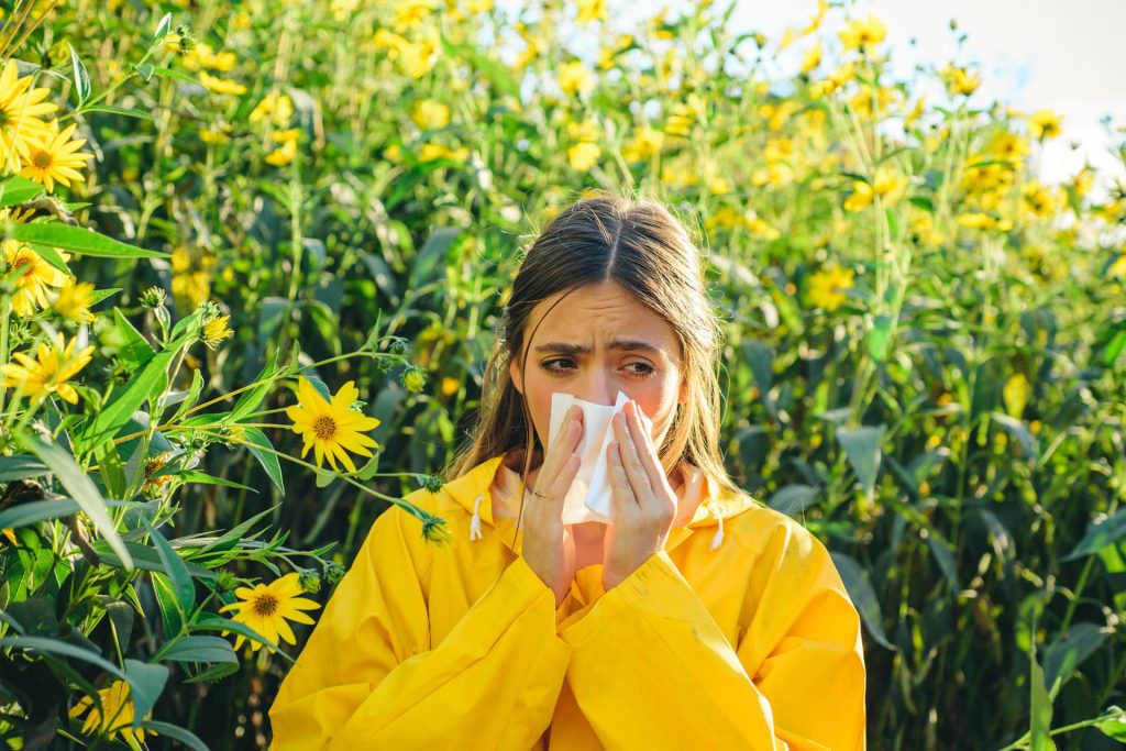 Allergia ai pollini