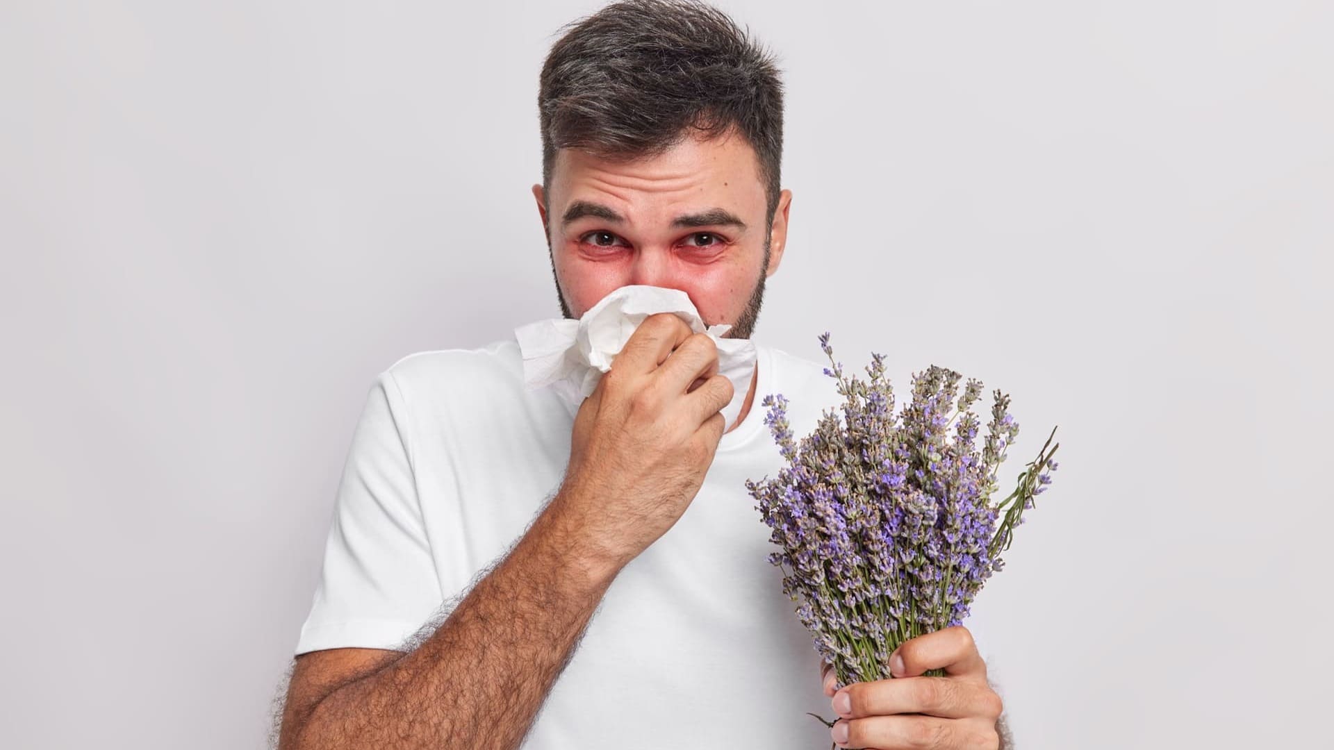 Allergia al polline cause
